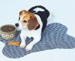 dogplacemat.jpg