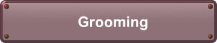 Grooming 