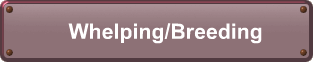 Whelping/Breeding