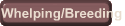 Whelping/Breeding